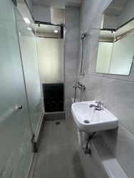 Simei Green Condominium (D18), Condominium #597868881